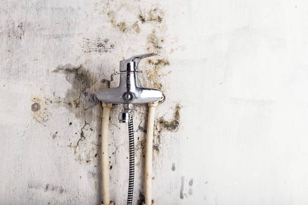 Certified Mold Removal in Tipp City, OH