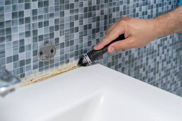 Best Mold Cleaning Services  in Tipp City, OH