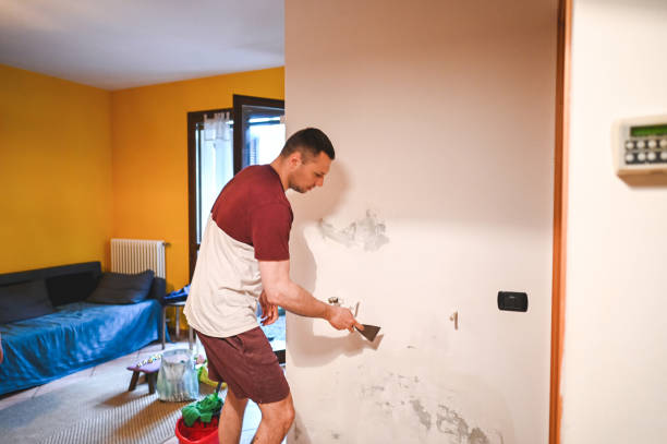 Best Commercial Mold Removal  in Tipp City, OH